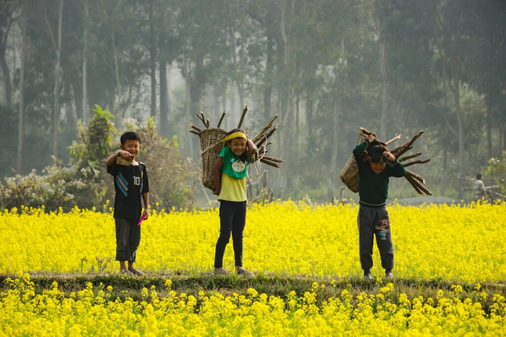 Three children carrying firewood in a vibrant yellow mustard field in rural Nepal.