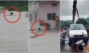 राजगढ़ जिले के सारंगपुर में बारिश में ईको कार उफनते नाले में बही , जिसमें सवार 11 लोगों में से 9 की मौत, 2 को बचाया गया 44 rajgarh car bahi 21415 1786352022926 m